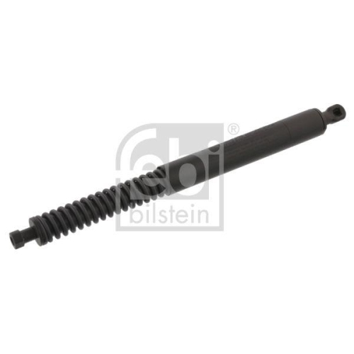 Gasfeder Koffer /laderaum Febi Bilstein 34419 f&uuml;r Peugeot Beidseitig
