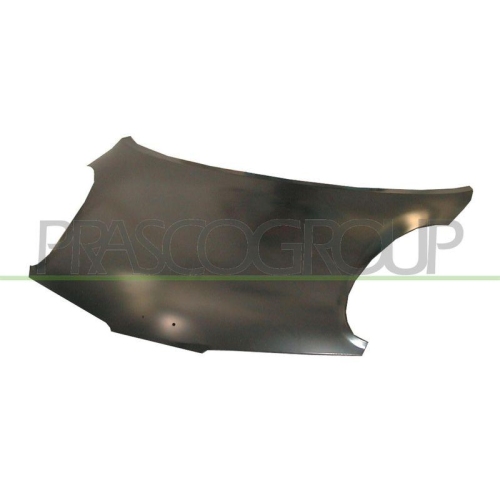 Motorhaube Prasco DS0113100 Premium für Nissan