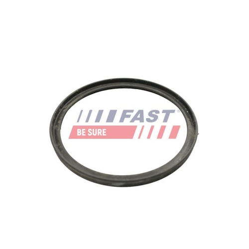 Dichtring Ladeluftschlauch Fast FT49922 f&uuml;r Mercedes Benz Mercedes Benz