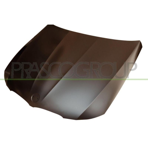Motorhaube Prasco BM0263100 für Bmw