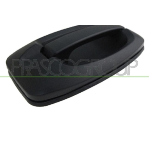 Türaußengriff Prasco FT9308001 für Citroën Fiat Peugeot Außen Vorne Rechts