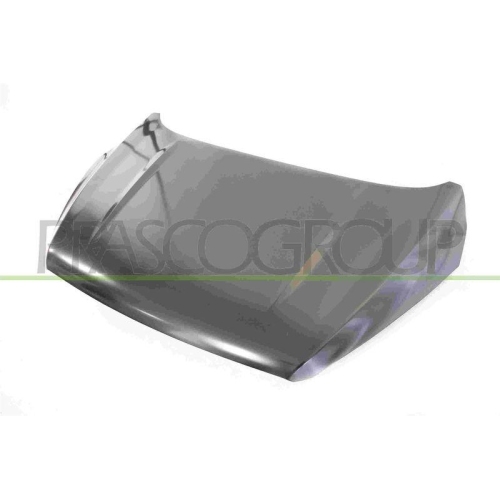 Motorhaube Prasco FD8063100 f&uuml;r Ford