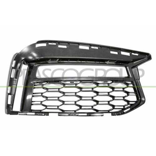 Blende Sto&szlig;f&auml;nger Prasco BM0532123 f&uuml;r Bmw Vorne Rechts