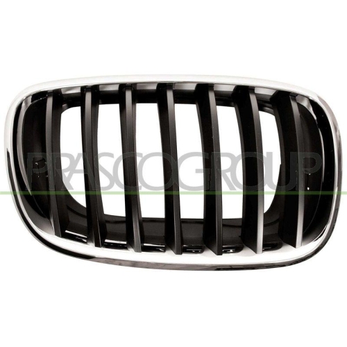 K&uuml;hlergitter Prasco BM8222003 f&uuml;r Bmw Rechts