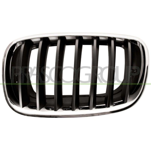 K&uuml;hlergitter Prasco BM8222004 f&uuml;r Bmw Links