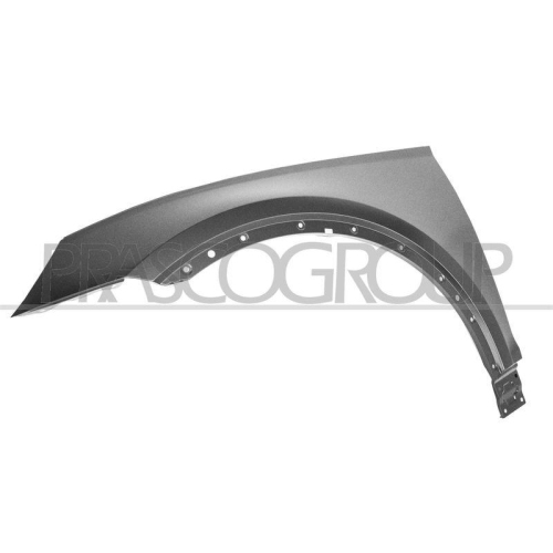 Kotfl&uuml;gel Prasco AD8243004 f&uuml;r Audi Vorne Links