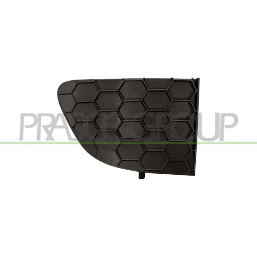 L&uuml;ftungsgitter Sto&szlig;f&auml;nger Prasco FT3462123 f&uuml;r Fiat Vorne Rechts