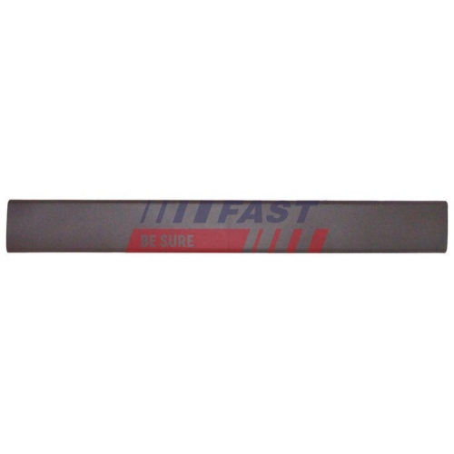 Zier /schutzleiste Seitenwand Fast FT90789 f&uuml;r Fiat Citro&euml;n Links