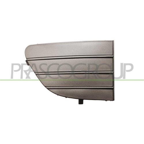 L&uuml;ftungsgitter Sto&szlig;f&auml;nger Prasco FT3442123 Premium f&uuml;r Fiat Vorne Rechts