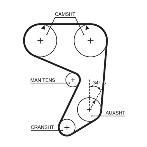 Zahnriemen Gates 5004 Powergrip™ für Fiat Lancia Dana