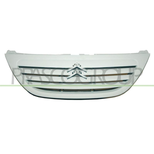 K&uuml;hlergitter Prasco CI3202001 f&uuml;r Citro&euml;n