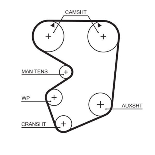 Zahnriemen Gates 5013 Powergrip&trade; f&uuml;r Fiat
