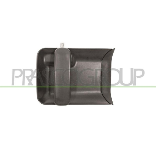 T&uuml;rau&szlig;engriff Prasco PG9048104 f&uuml;r Citro&euml;n Peugeot Au&szlig;en Hinten Links