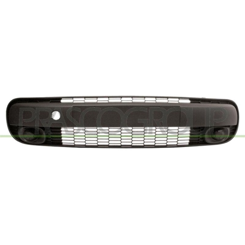 L&uuml;ftungsgitter Sto&szlig;f&auml;nger Prasco FT0402120 f&uuml;r Fiat Vorne