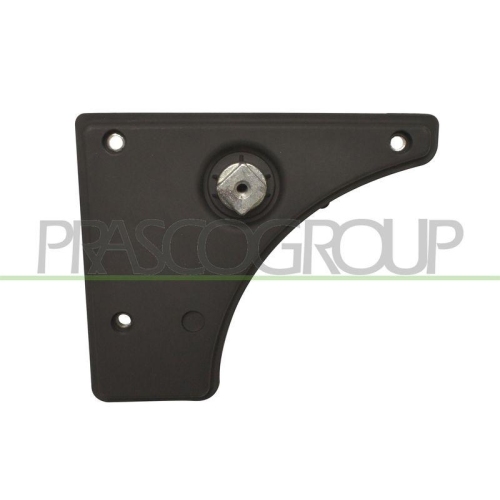 Türgriff Innenausstattung Prasco FT9308311 für Citroën Fiat Peugeot Innen