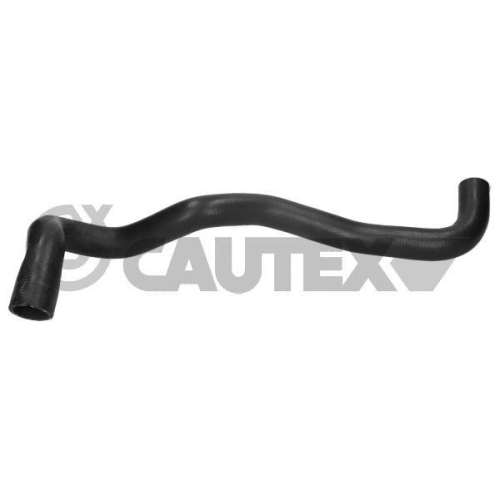 K&uuml;hlerschlauch Cautex 771690 f&uuml;r Renault Unten