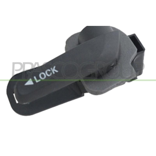 T&uuml;rgriff Innenausstattung Prasco FT9098401 f&uuml;r Fiat Vorne Rechts
