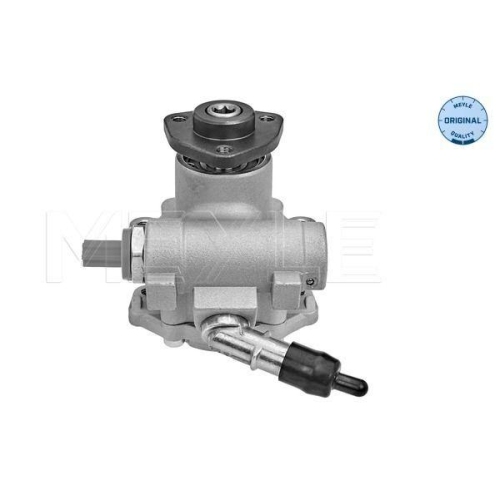 Hydraulikpumpe Lenkung Meyle 3146310023 Meyle-original: True To Oe. f&uuml;r Bmw