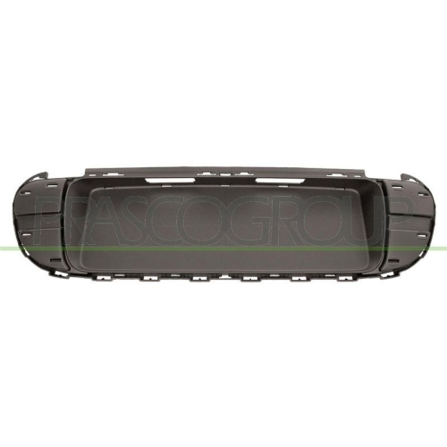 Kennzeichenhalter Prasco MN7022150 f&uuml;r Mini Hinten