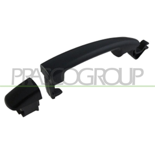 Türaußengriff Prasco PG7208003 für Citroën Peugeot Außen Hinten Links