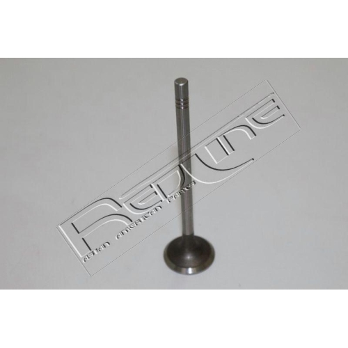 Auslassventil Red-line 15SS001 f&uuml;r Ssangyong