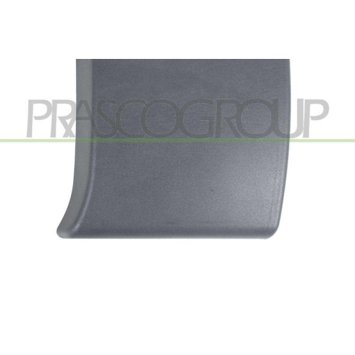Zier /schutzleiste T&uuml;r Prasco DS9521416 f&uuml;r Nissan Vorne Links