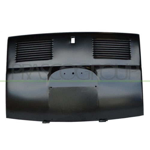 Motorhaube Prasco FT0033150 für Hinten