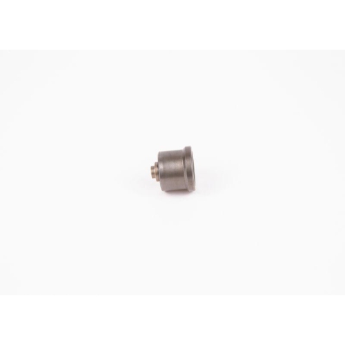 Ventil Bosch 2418552103 für Daf Mercedes Benz Mercedes Benz