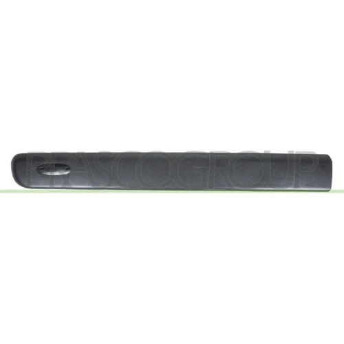 Zier /schutzleiste T&uuml;r Prasco RN9161404 f&uuml;r Renault Vorne Links
