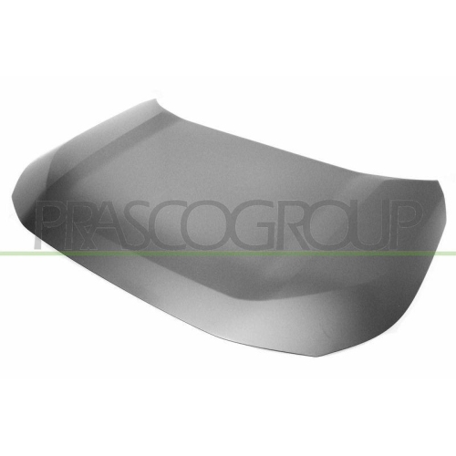 Bonnet Prasco TY2933110 for Toyota