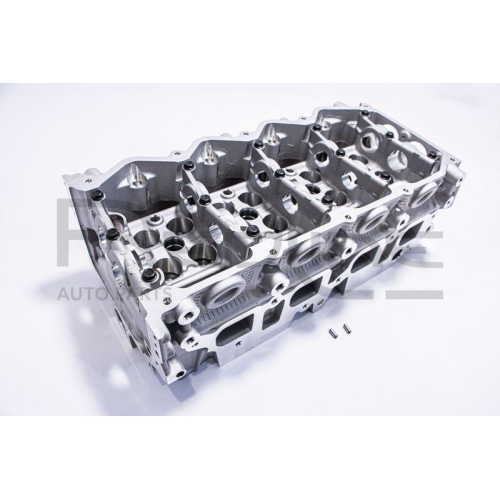 Zylinderkopf Red-line 21NI024 f&uuml;r Nissan