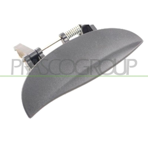 Türaußengriff Prasco HN3208101 für Hyundai Außen Hinten Rechts