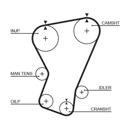 Zahnriemen Gates 5065 Powergrip&trade; f&uuml;r Fiat Dana