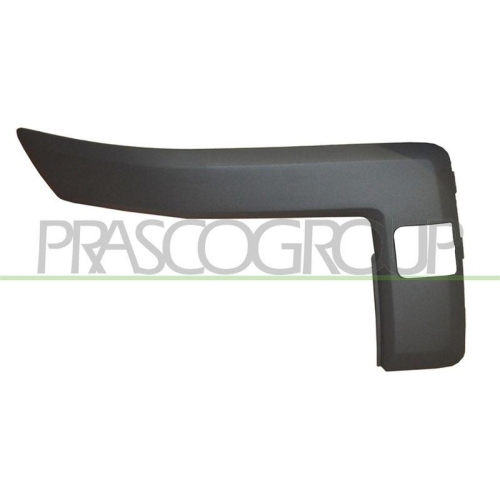 Zier /schutzleiste Sto&szlig;f&auml;nger Prasco FD3521243 f&uuml;r Ford Vorne Rechts