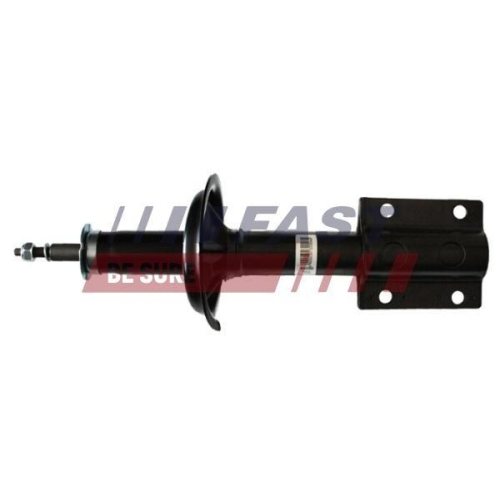 Stoßdämpfer Fast FT11005 für Fiat Citroën VW Iveco Renault Peugeot
