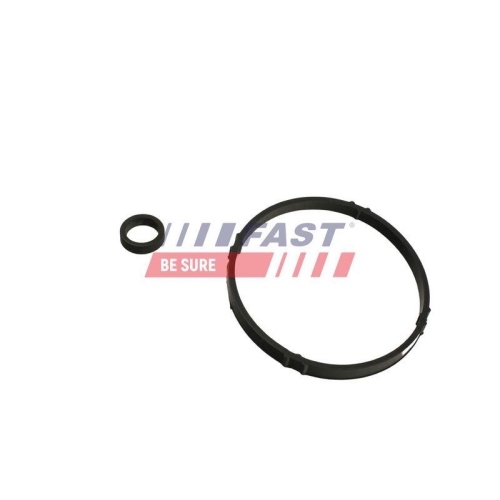 Dichtring &Ouml;lk&uuml;hler (schmierung) Fast FT48952 f&uuml;r Citro&euml;n Motorblock