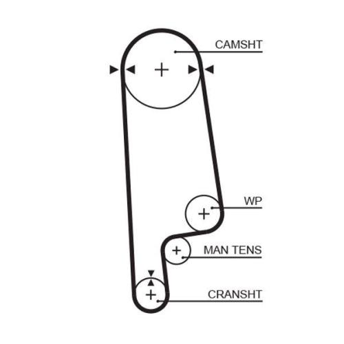 Zahnriemen Gates 5084XS Powergrip&trade; f&uuml;r Austin Honda MG Morris Rover Triumph Dana