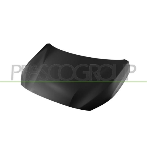 Motorhaube Prasco PG3303100 für Peugeot