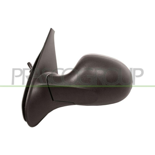 Au&szlig;enspiegel Prasco RN3267114 f&uuml;r Renault Links