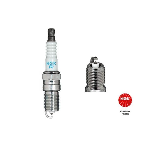 Z&uuml;ndkerze Ngk 5598 f&uuml;r