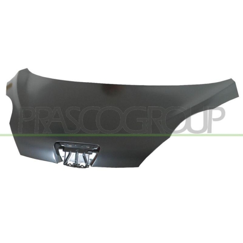 Motorhaube Prasco PG2013100 für Peugeot