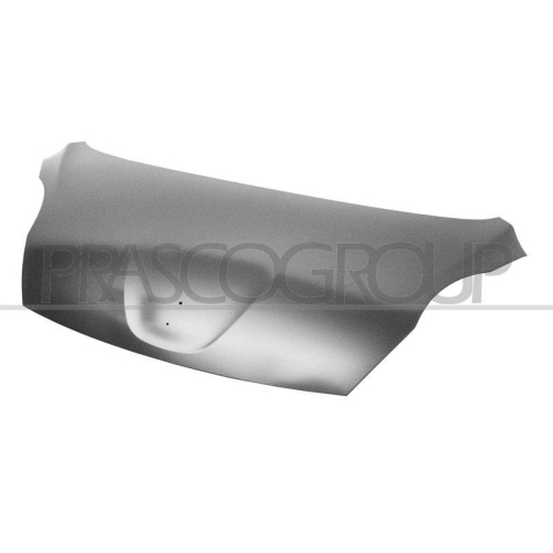 Motorhaube Prasco PG2043100 für Peugeot