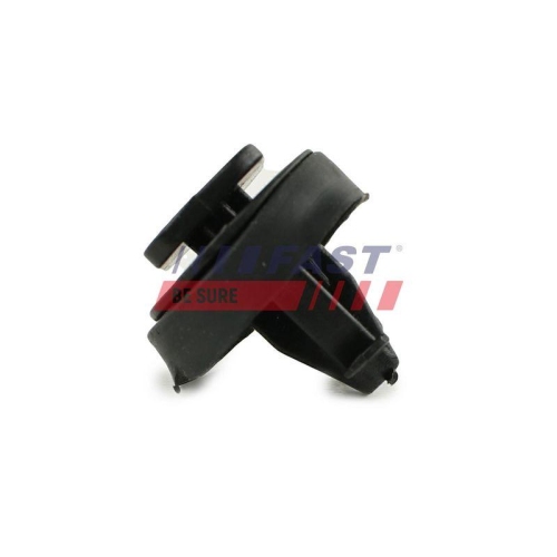 Clip Zier /schutzleiste Fast FT96310 f&uuml;r Iveco