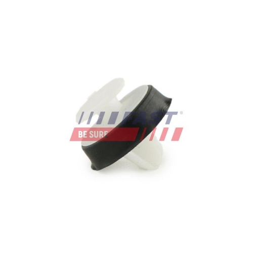 Clip Zier /schutzleiste Fast FT96309 f&uuml;r Citro&euml;n Peugeot DS Fiat Nissan Opel