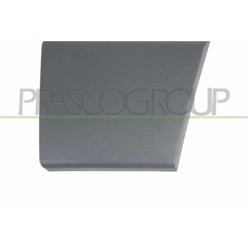 Zier /schutzleiste T&uuml;r Prasco FT9301406 f&uuml;r Citro&euml;n Fiat Vorne Links