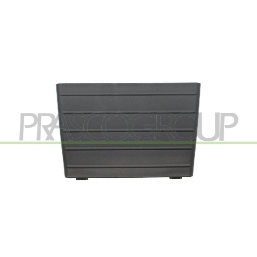 L&uuml;ftungsgitter Sto&szlig;f&auml;nger Prasco PG5241235 f&uuml;r Peugeot Vorne