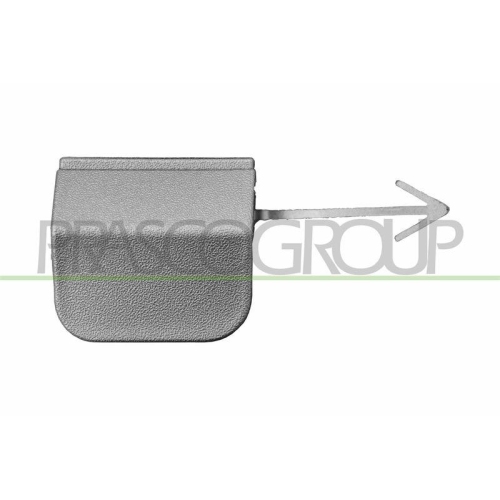 Flap Tow Hook Prasco FD6201286 for Ford