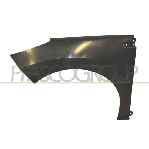 Kotfl&uuml;gel Prasco PG5203004 f&uuml;r Peugeot Vorne Links
