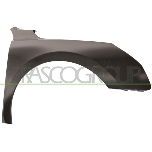 Kotfl&uuml;gel Prasco PG5303003 f&uuml;r Peugeot Vorne Rechts