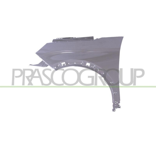 Kotflügel Prasco PG5243004 für Peugeot Vorne Links